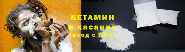 шишки Тавда