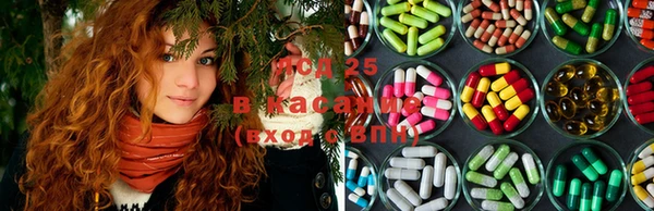 PSILOCYBIN Каменка