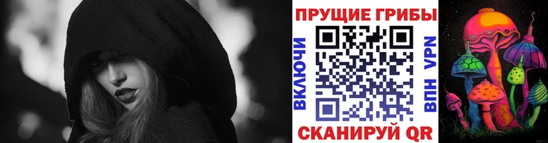 даркнет наркотические препараты  мега маркетплейс  Красавино  Псилоцибиновые грибы мицелий 