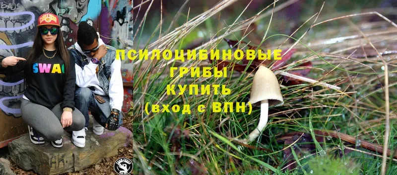 магазин продажи   Красавино  ОМГ ОМГ рабочий сайт  Галлюциногенные грибы Magic Shrooms 